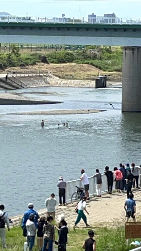 神奈川県川崎市中原区上丸子八幡町 多摩川で水難事故「丸子橋でバーベキューの20歳男性死亡」警察と救急が大量集結5月4日 まとめ部 神奈川県川崎市中原区上丸子八幡町 多摩川で水難事故「丸子橋でバーベキューの20歳男性死亡」警察と救急が大量集結5月4日 まとめ部